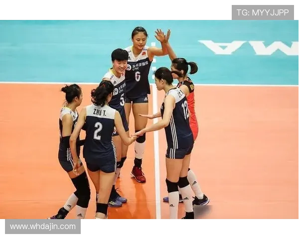 王丽畅谈排球生涯的辉煌与挑战，分享心路历程与未来展望