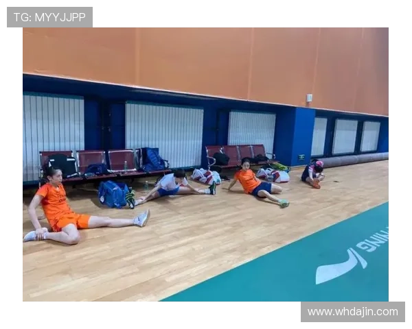 南京羽毛球队与北京羽毛球队赛后复盘分析及比赛经验总结